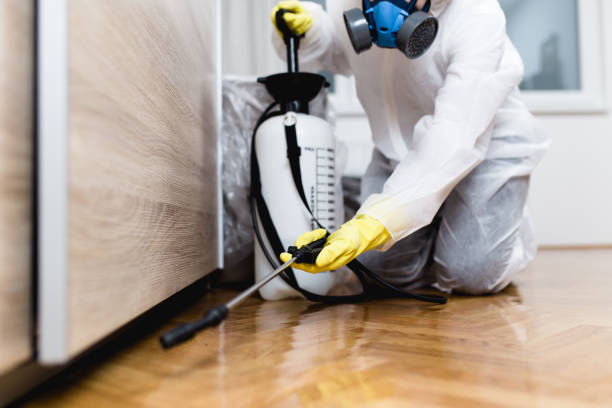 Best Bed Bug Extermination  in Centennial Park, AZ